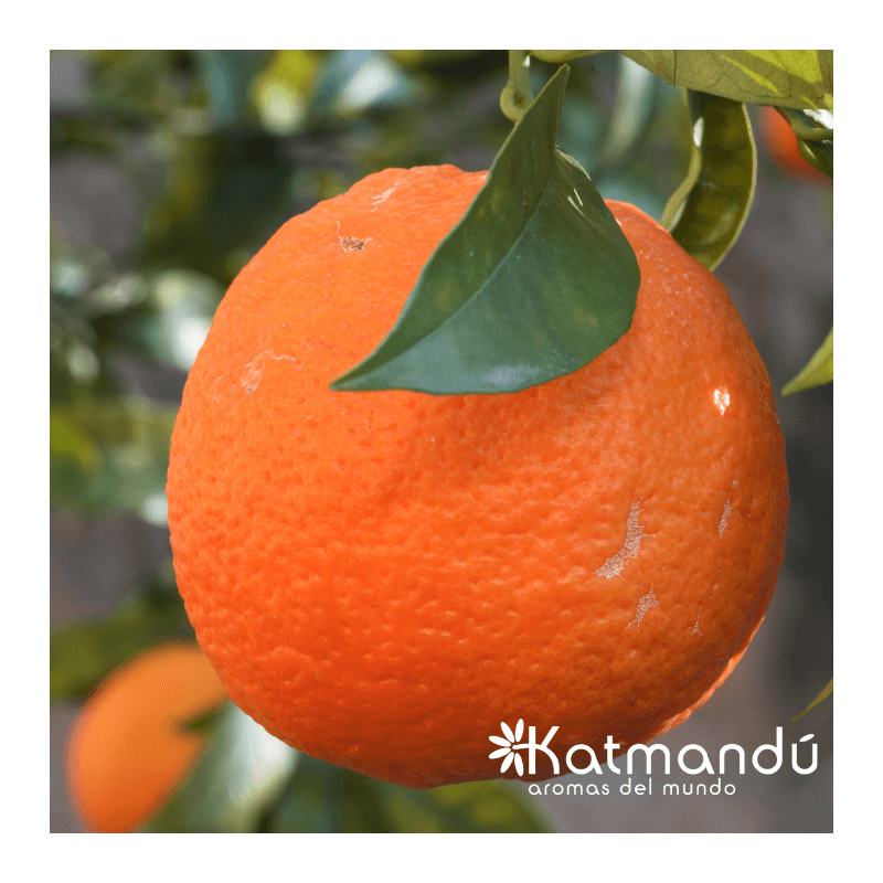 Aceite_Esencial_Naranja_2.png